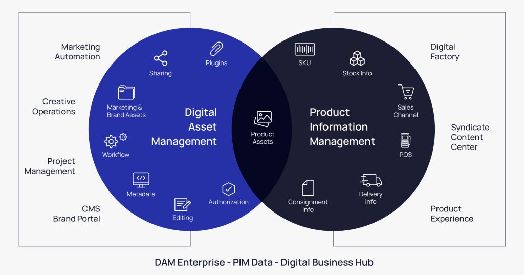 Capabilities to Look for in PIM And DAM Cataloging Systems for E-commerce | Anchanto