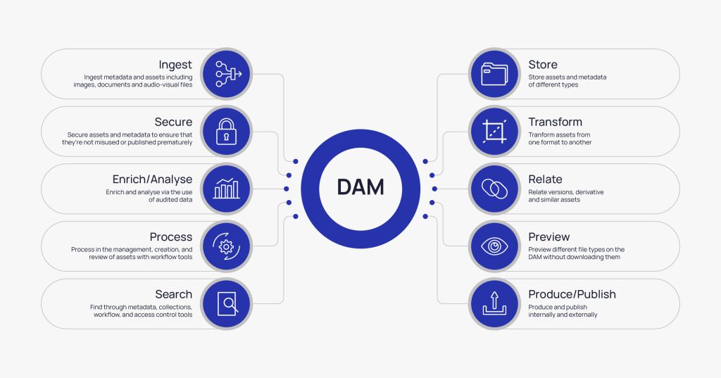 Digital Asset Management (DAM) | Anchanto