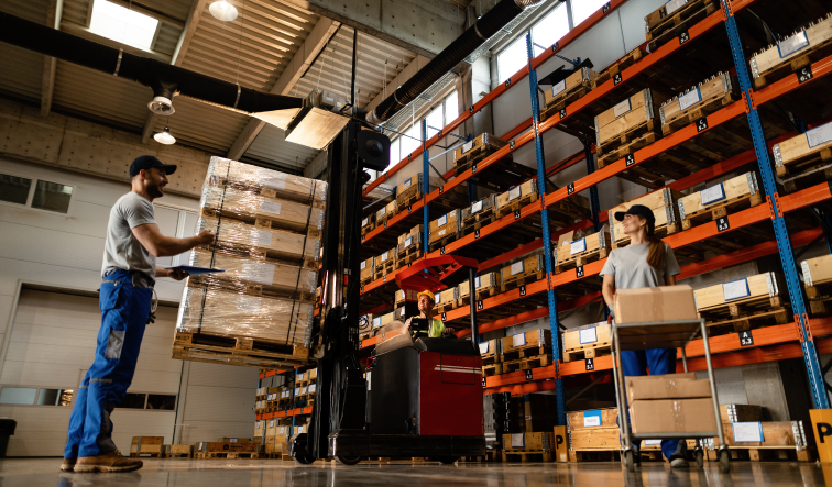 Alolog Achieves Early Advantage by Automating Warehousing from Day 1